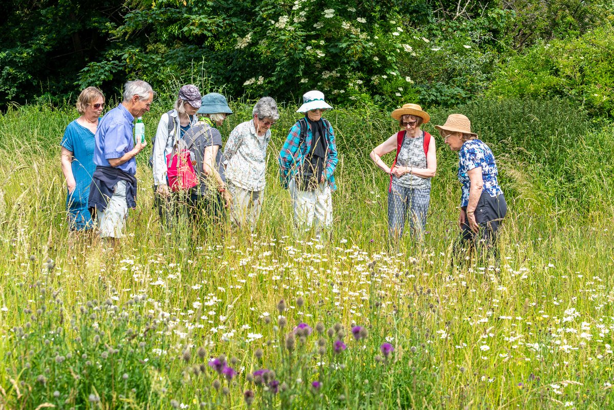 friendlyevalley's tweet image. So pleased the weather held for our Friends of Lye Valley picnic and guided walk at Rock Edge this afternoon. Thanks as always to @judyweb32049878 for leading it, and hopefully everyone got home before it started to rain!
#GreenSpaces #LocalNatureReserve #SSSI #OX3