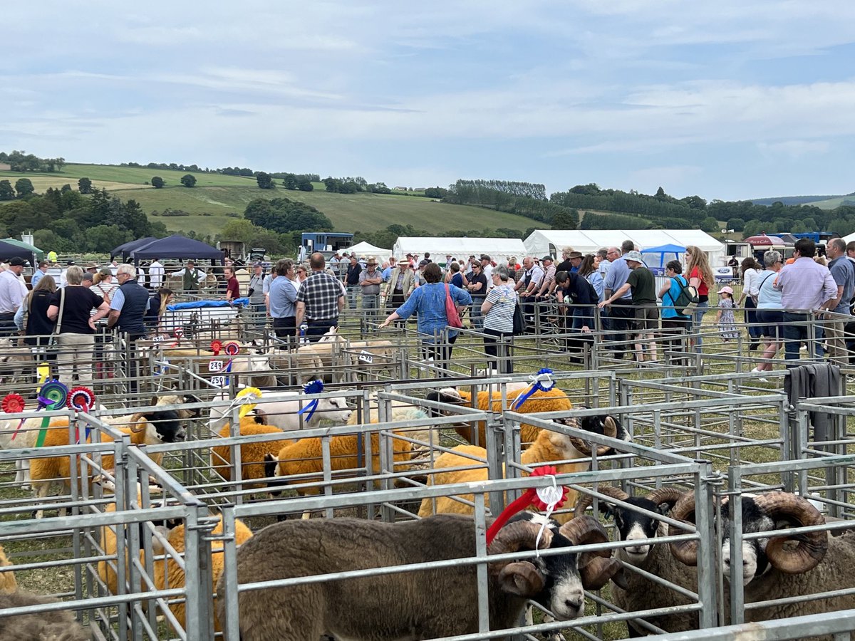 CraicN Communications tweet media