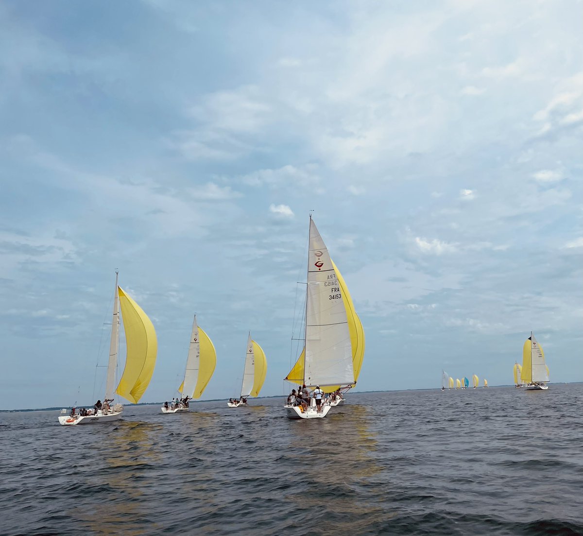 Aliette Mousnier-Lompré tweet media