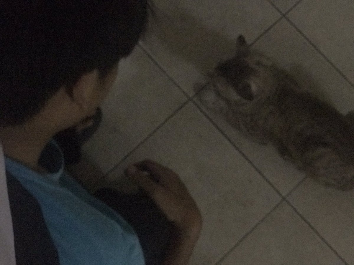 Mr. zEnTa ✩xq #777 (@7swxzt) on Twitter photo 