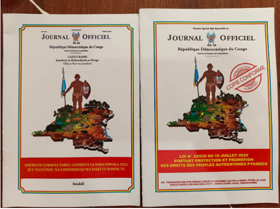 Fdapid2022's tweet photo. 16 Juin 2023
Atelier de pré-vulgarisation de la loi numéro 22/030/ du 15 Juillet 2022, portant protection et promotion des droits des peuples autochtones Pygmées en RD Congo, en guise du début de la vulgarisation. https://t.co/YlPy9kcL75 #FDAPID @enable_rdc @ffcrdc https://t.co/xE9HPPy2SZ
