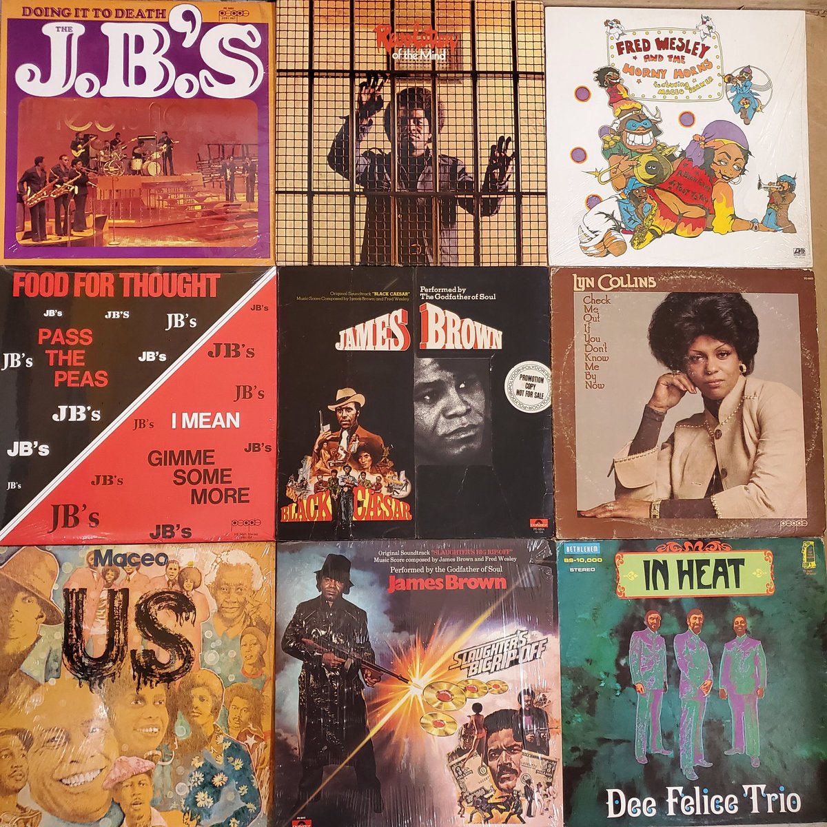 mlwl2809's tweet photo. INCREDIBLE records, ALL OGs have been flooding our bins this week. 🌞has been shining outside and in our store. Come in and claim your piece.
#supportyourlocalrecordstore #dmv #independentrecordstore #vinyl #vinylcommunity #ilovevinyl #recordstore #everydayisrecordstoreday https://t.co/NWNFshsiRS