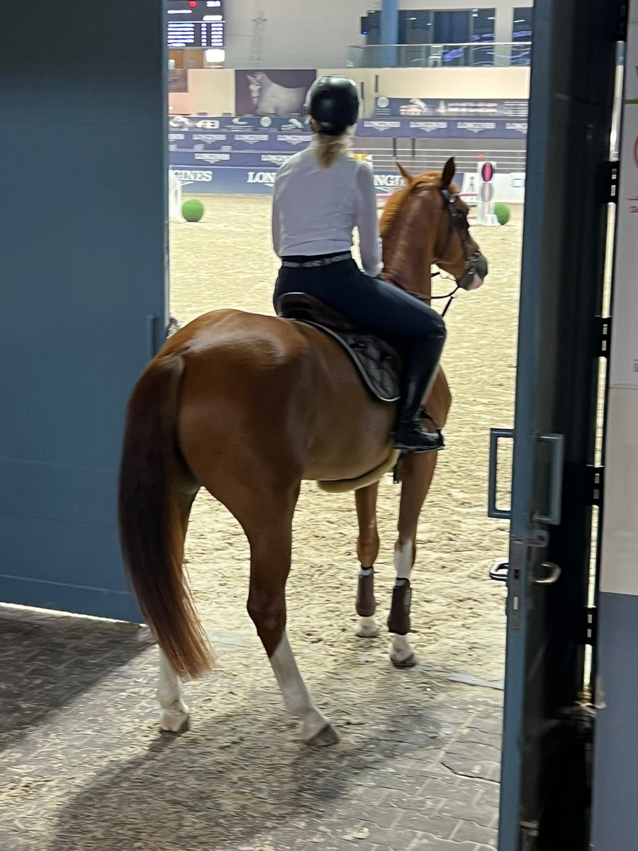 Anitasande00's tweet image. Trainingshow #today for #Mercedes at @serc_uae 
Getting more relaxed,feels good🙏

anitasande.ae

#Asaddle #thebest #tryit #loveit
#Acollection #mydubai #UAE 
📽Thanks Dominique❤️🙏