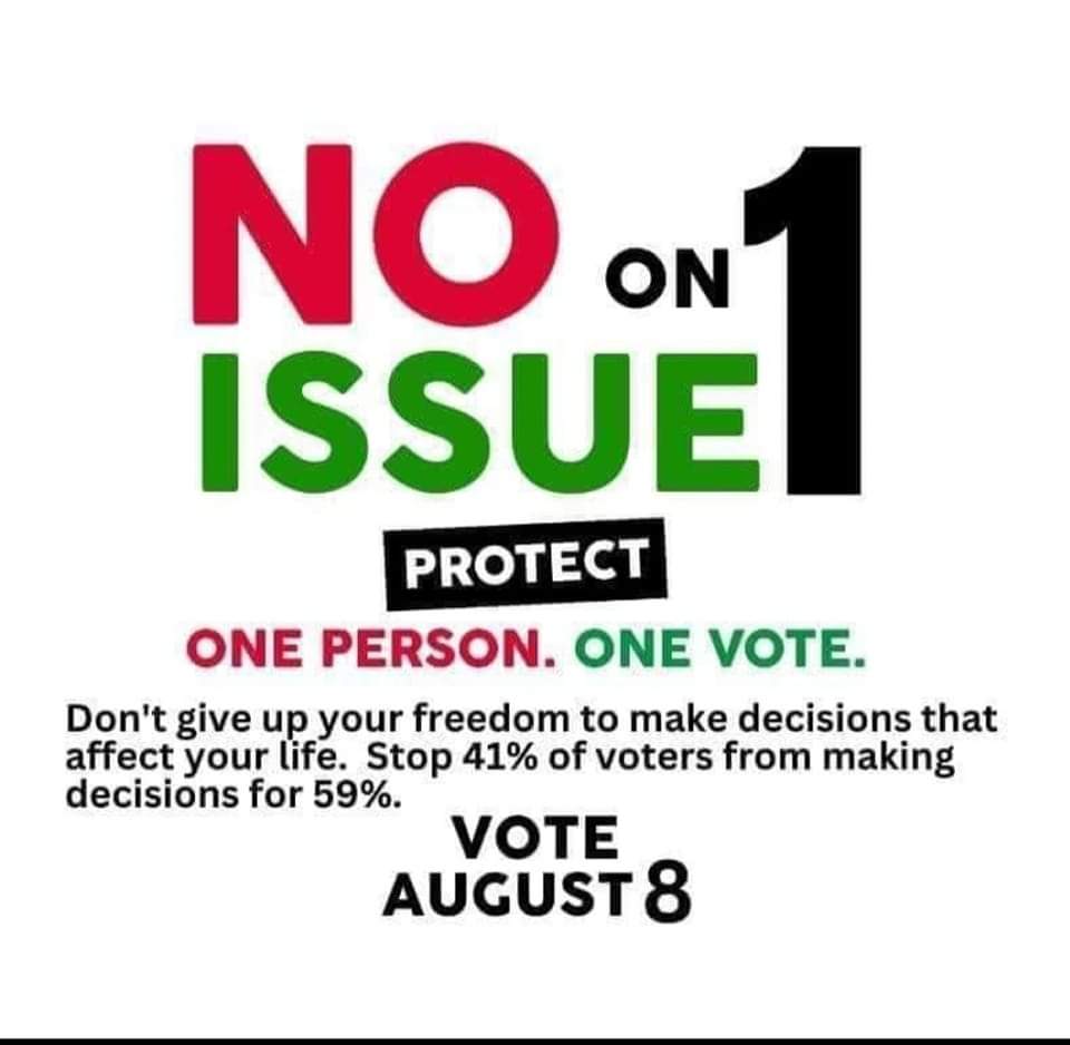 madamecawalker's tweet image. #OnePerson
#OneVote