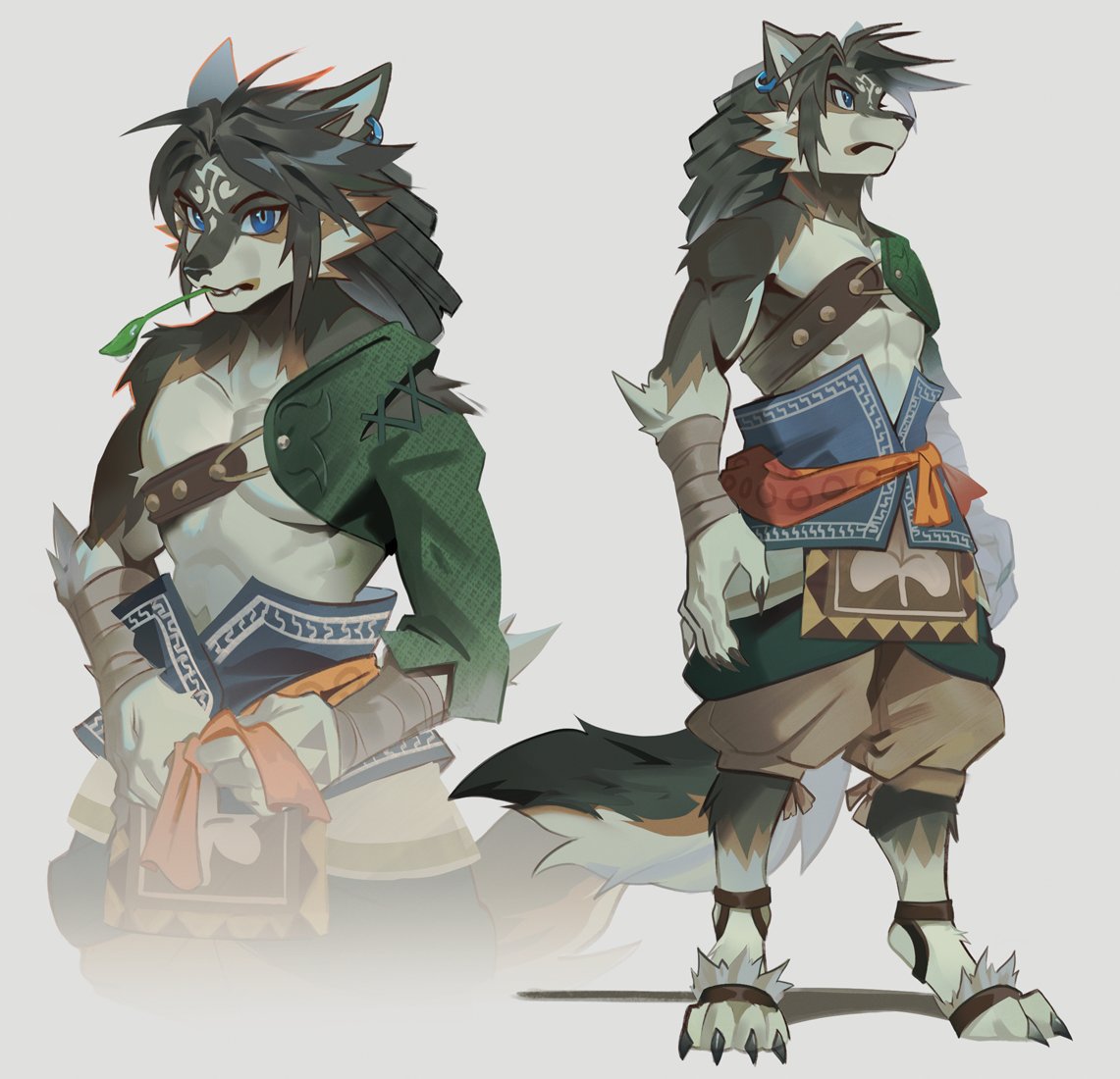 Twilight Princess wolf Link design