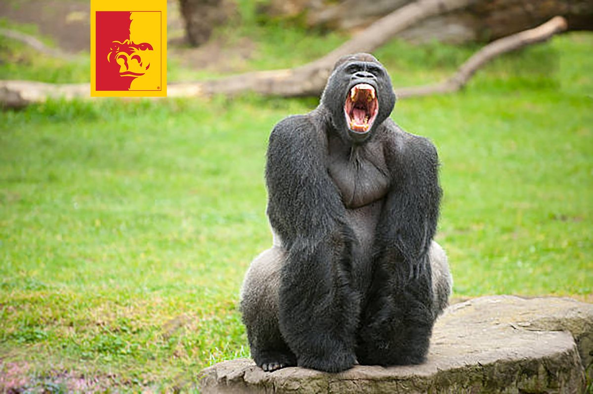 The MIAA tweet media