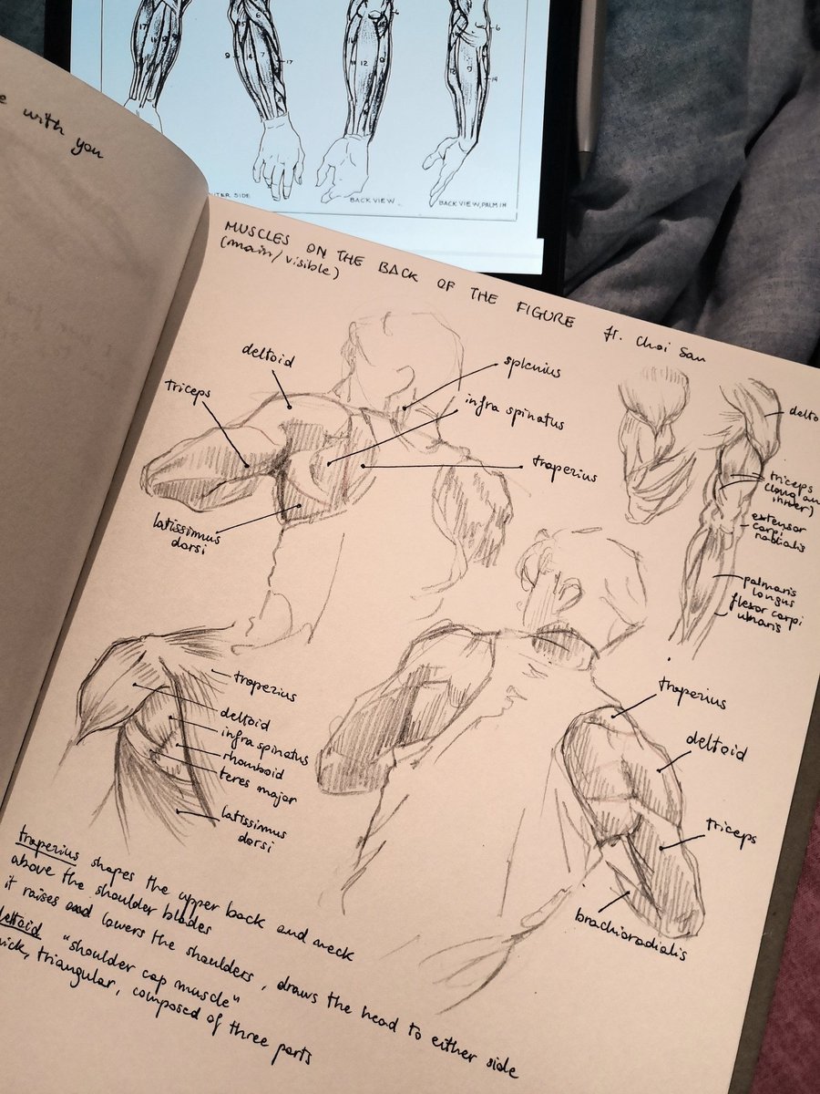 studying anatomy with choi san🥰

#ATEEZ #ATEEZ_BOUNCY #ATEEZfanart #ATEEZ_OUTLAW #Choisan #SAN