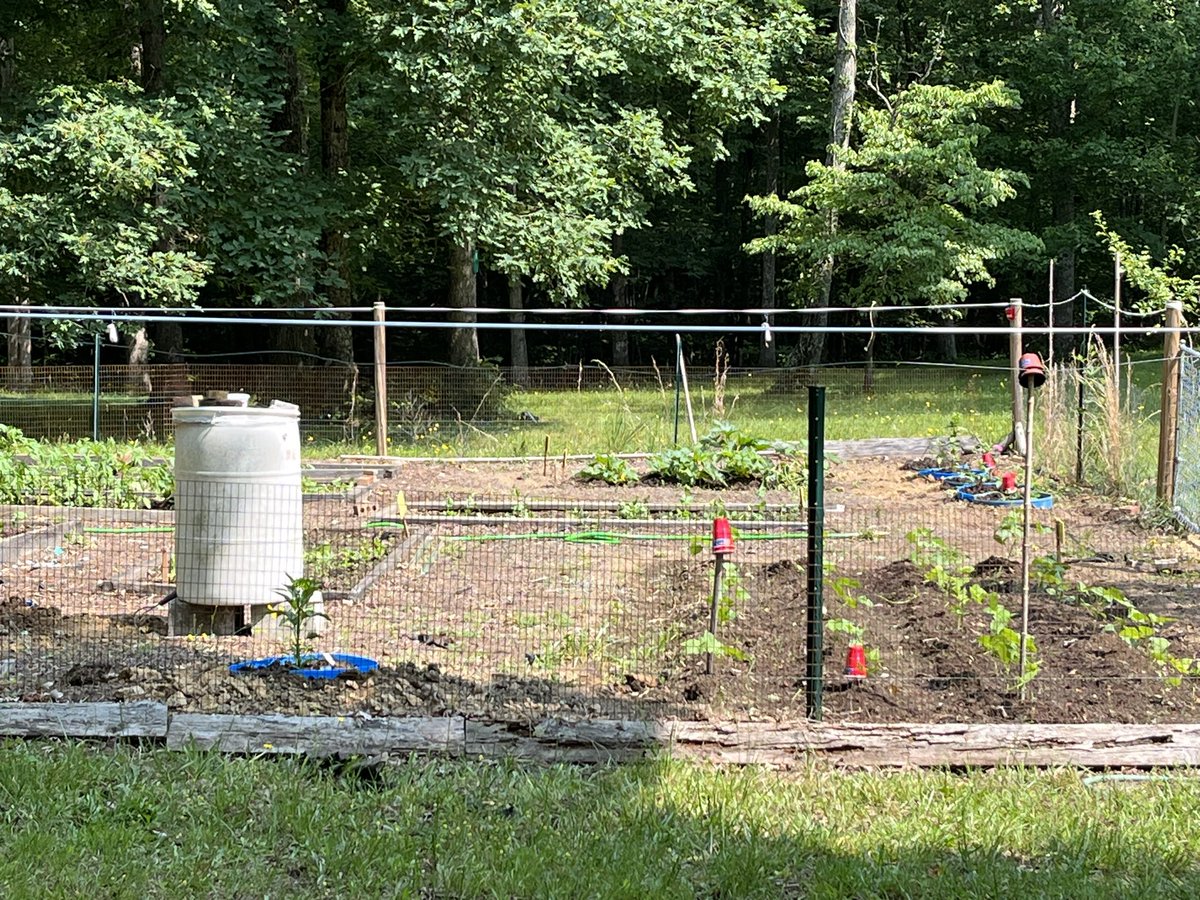 EricBuechel's tweet image. Have a deer problem in your garden? Do what we do and hang #IrishSpring soup around your garden to protect your plants from hungry #deer.