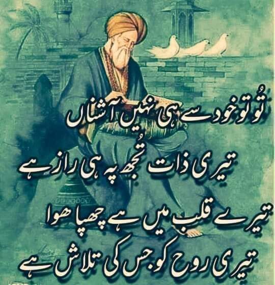 السلام علیکم