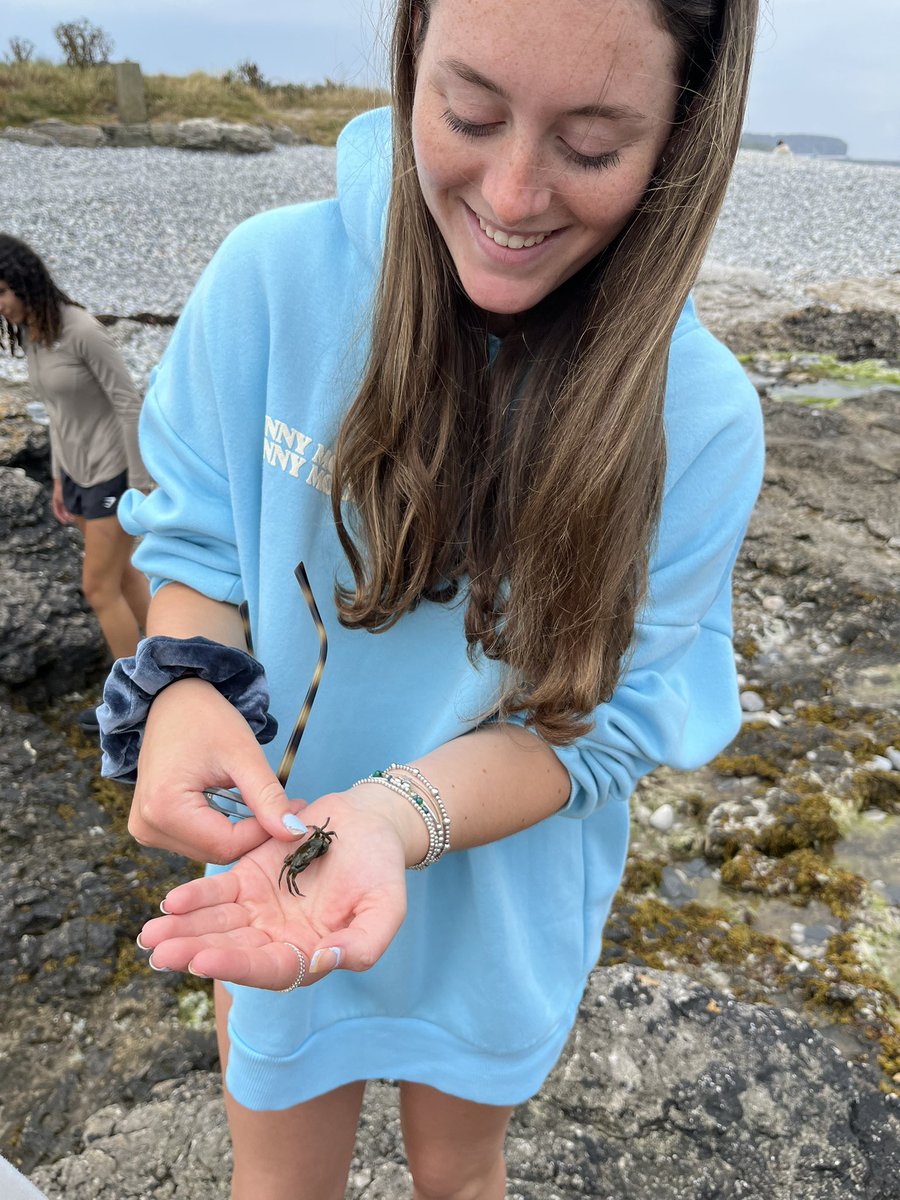 King’s Biology tweet media