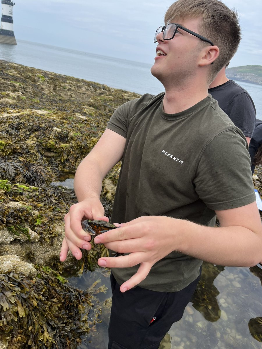 King’s Biology tweet media