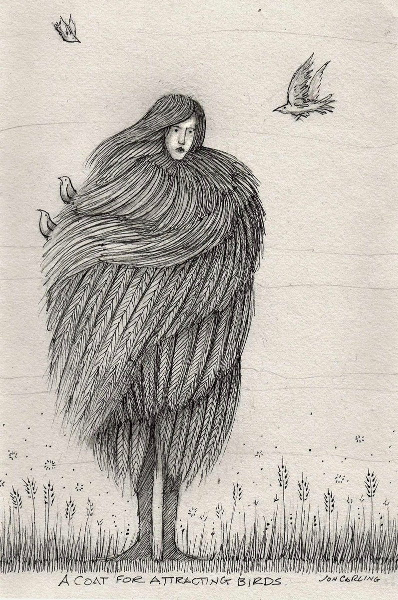 JonCarling's tweet photo. A coat for attracting birds. https://t.co/Mpp1svzhXL
