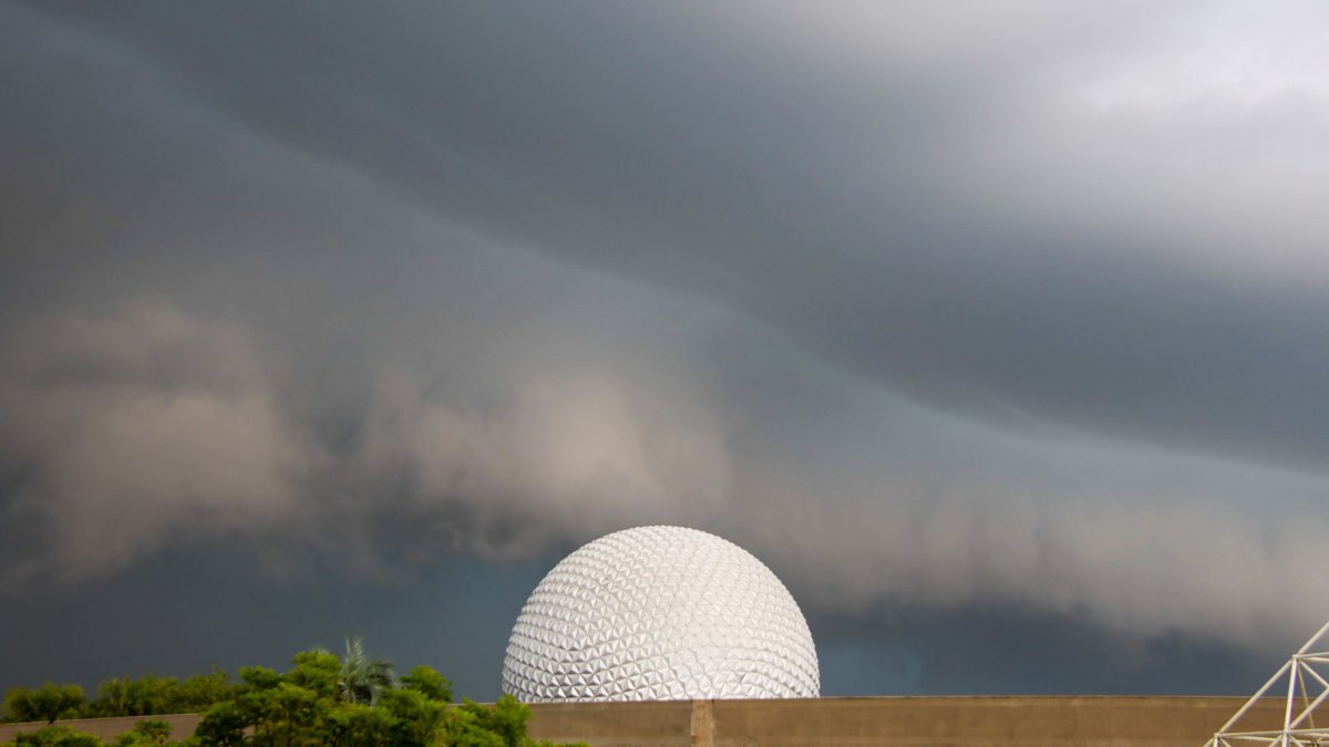 bioreconstruct on Twitter "Sunlight highlighting a fine line