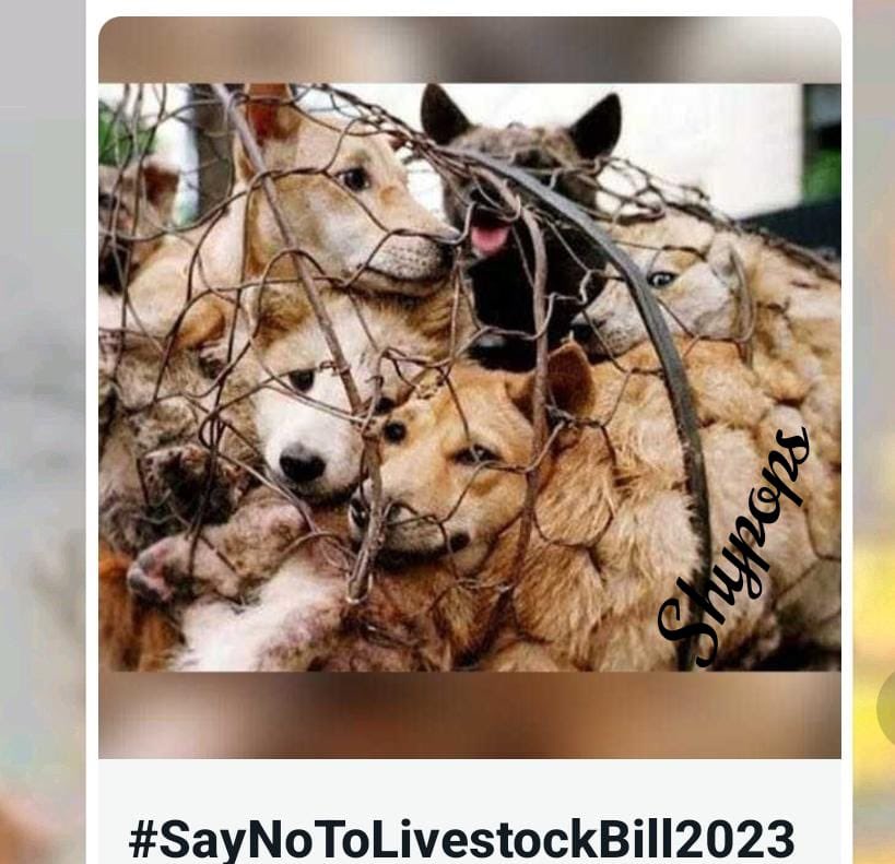 Animals are meant to be loved by HuMaN like the QuoteTweet NOT
Like in the picture👇

#SayNoToLivestockBill2023

CC 
@RealRuskinBond @ParoAnand @kaalicharan @nidhhirampaal @Amita99466353 @PunitaS44575106