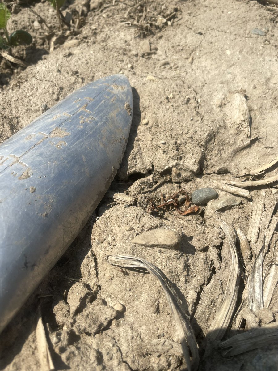 Pre emerge doing pre emerge things.