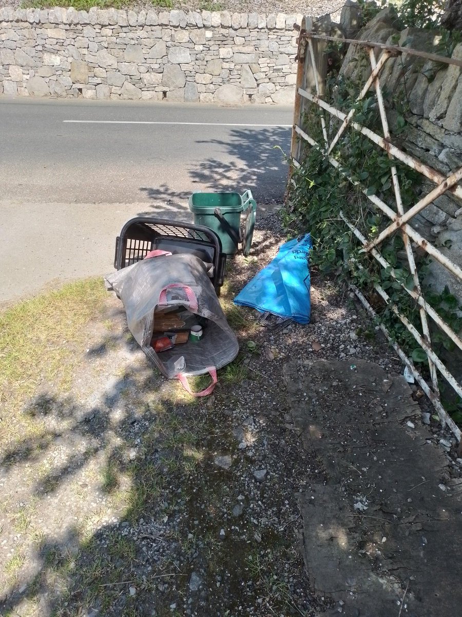 Major Apollo Tom tweet media