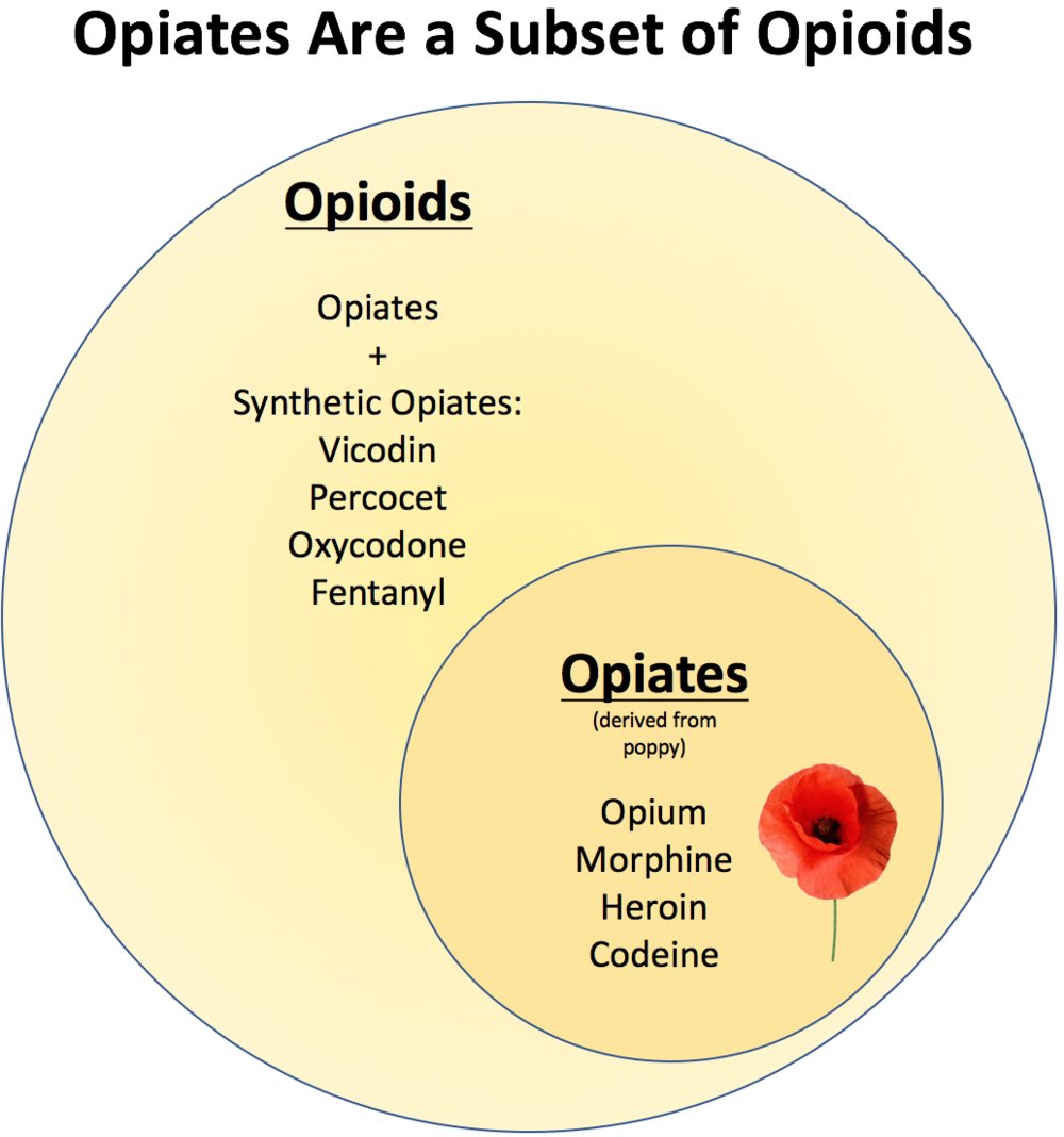 opium, opiate, opioidの包含関係はこんな感じらしい。
分かりやすくて良いね。