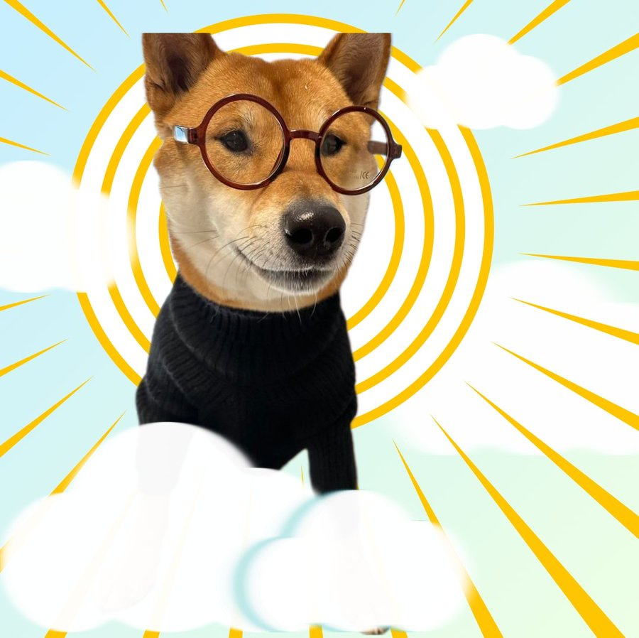 💸💸💸 tweet media