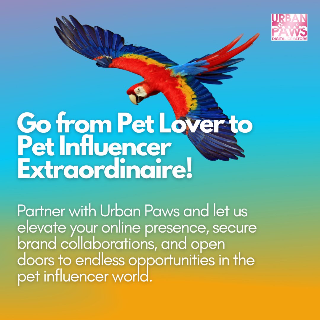 Partner with Urban Paws and become a pet influencer extraordinaire! 

Email: influencers@urbanpawsuk.com 
London: 0208-161-6556
Manchester: 0161-808-1667 
#InfluencerMarketing #DigitalCreators #ContentCreators #SocialMediaInfluencers #CastingAgency #PetInfluencers