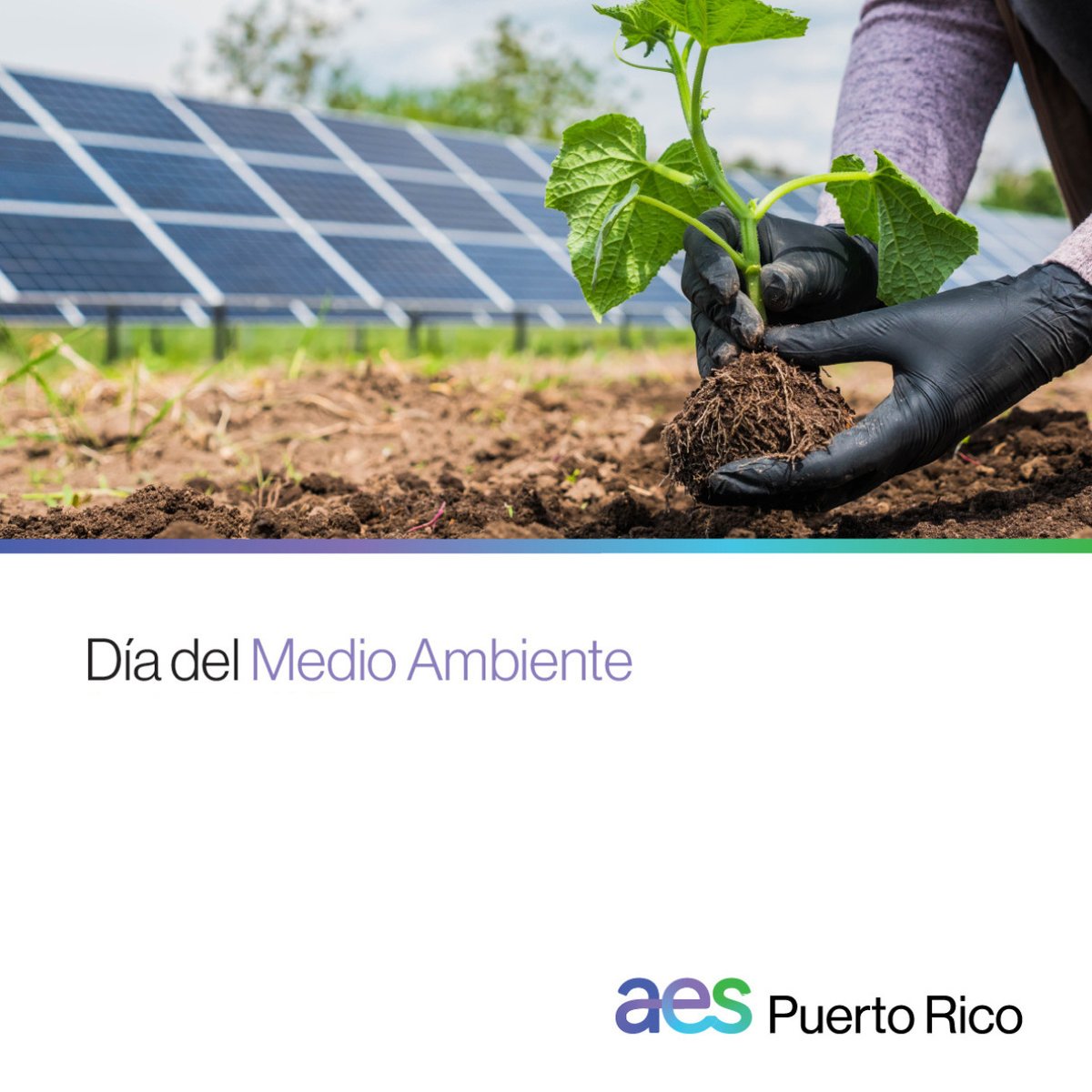 Durante el mes de junio se conmemora el #DíaDelMedioAmbiente. Seguimos apostando a la transición energética de Puerto Rico. ☀️ Entre sus beneficios se encuentran la sostenibilidad energética, ahorro de energía y reducción de emisiones dañinas al planeta. ​

#EnergíaSostenible