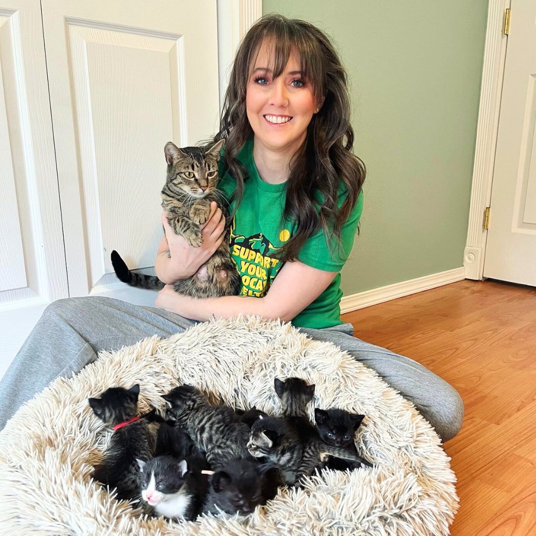 Happy @petcolove National Foster a Pet Month! “My favorite part of fostering the kittens is when I get them as little babies and their eyes aren’t even open... It’s truly a rewarding experience to raise them and set them up for success getting adopted.' bit.ly/khs-foster-care 🐈