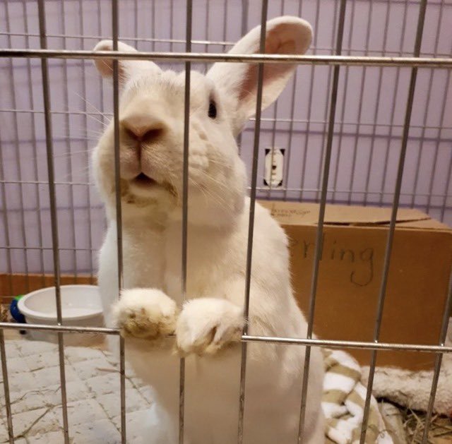 me if defending ppl/characters that go against the Perfect Victim archetype was a crime