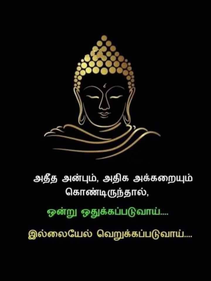 Quotes
#TamilQuotes #besttamilquotes #quotes #MotivationalQuotes #smile #dailyquotes #Quote #life #love #Solve