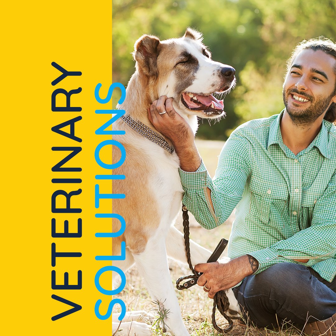 Budgeting for pet care doesn't have to be so challenging. Our affordable financing plans allow you to get your fur baby the health care they deserve in convenient payments without any of the upfront costs.