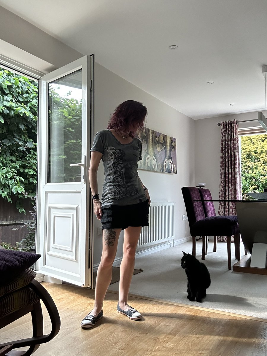 HornsInTheAir tweet media