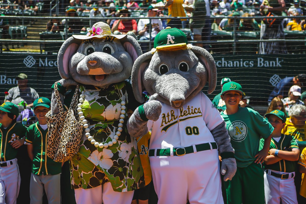 Happy #NationalMascotDay to our favorite elephant! 🐘💚💛