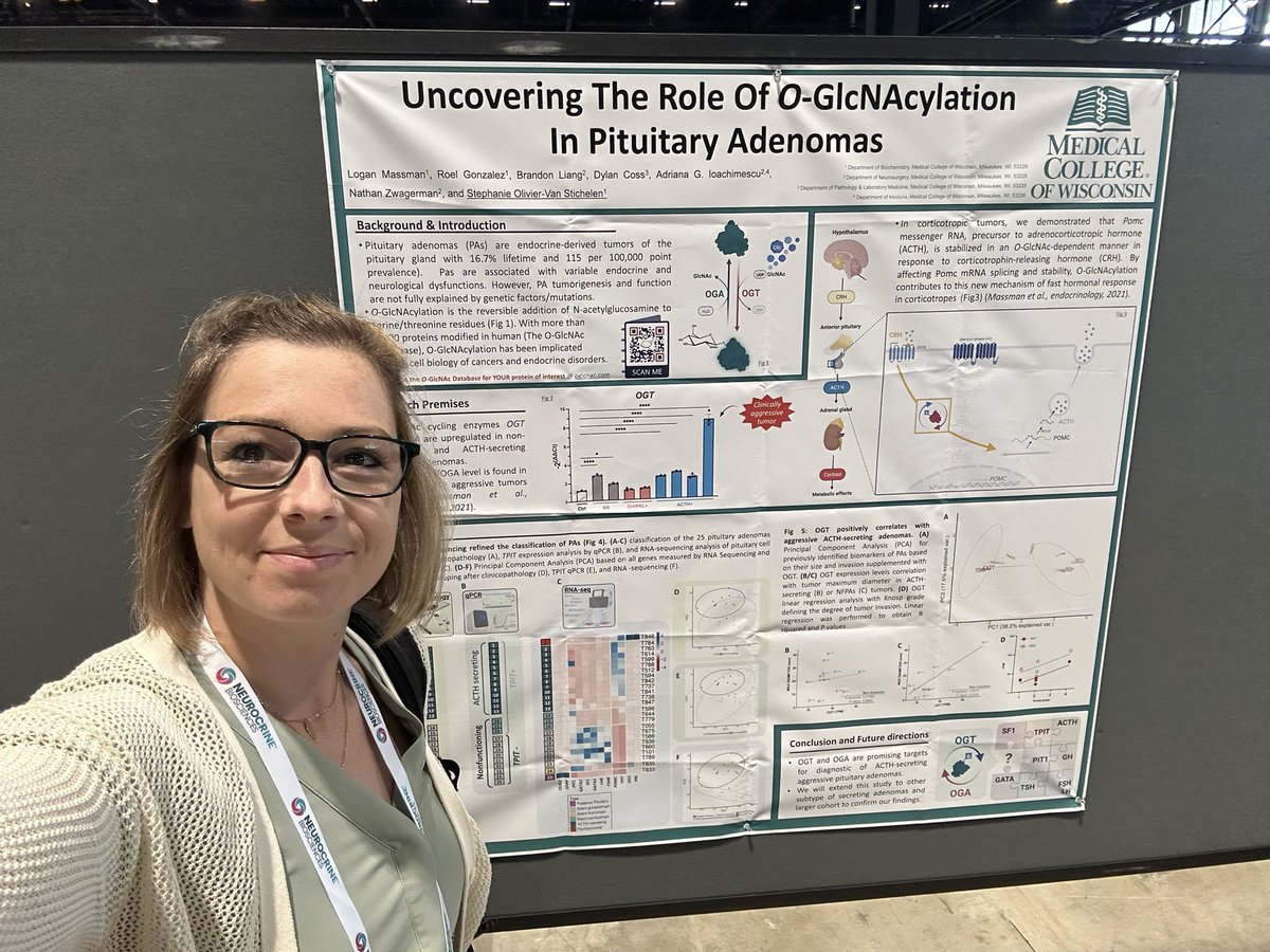 If you can’t tell, we are recruiting a post doctoral fellow with @SkullBase_doc @MedicalCollege #glycotime #ENDO2023