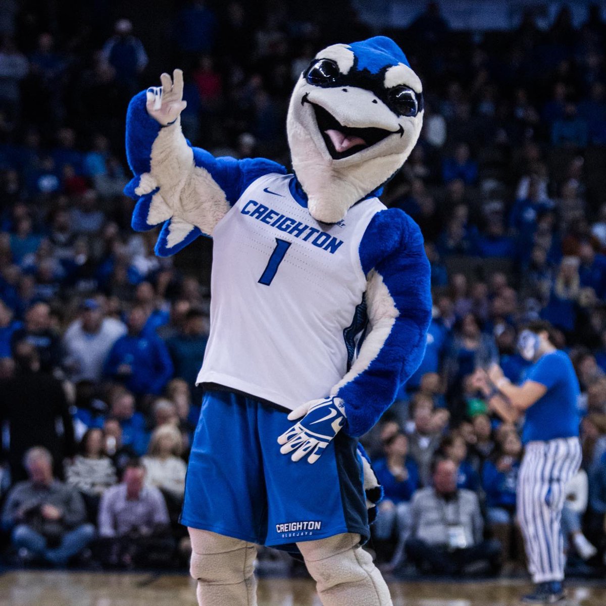 A little birdie told us it’s #NationalMascotDay, so here’s to the flyest mascot, Billy Bluejay.🐦
#GoJays