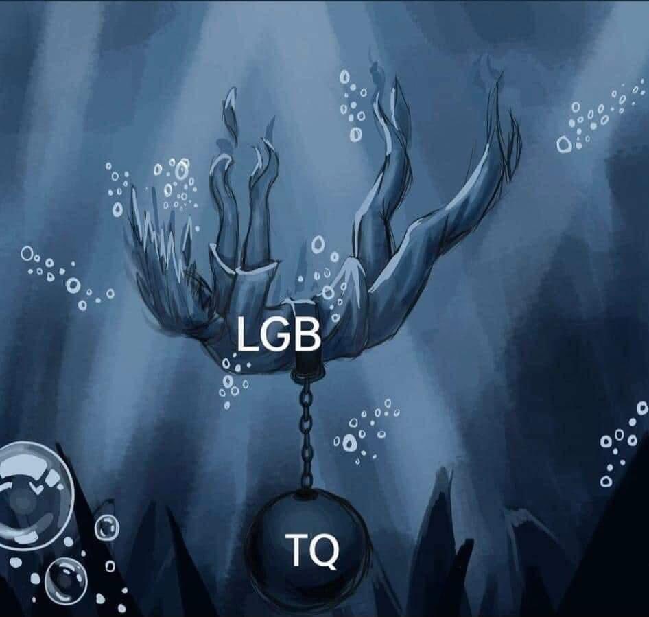 @Dodgers LGB made real significant strides over the past 30-40 years. Good 👍🏼 they’re represented in just about all of our family and friends. We were good. 
Then, the alphabet mafia hitched themselves to that communitys’ progress. 🤦🏻‍♂️
-this pic, what the LGB community can’t say out loud.