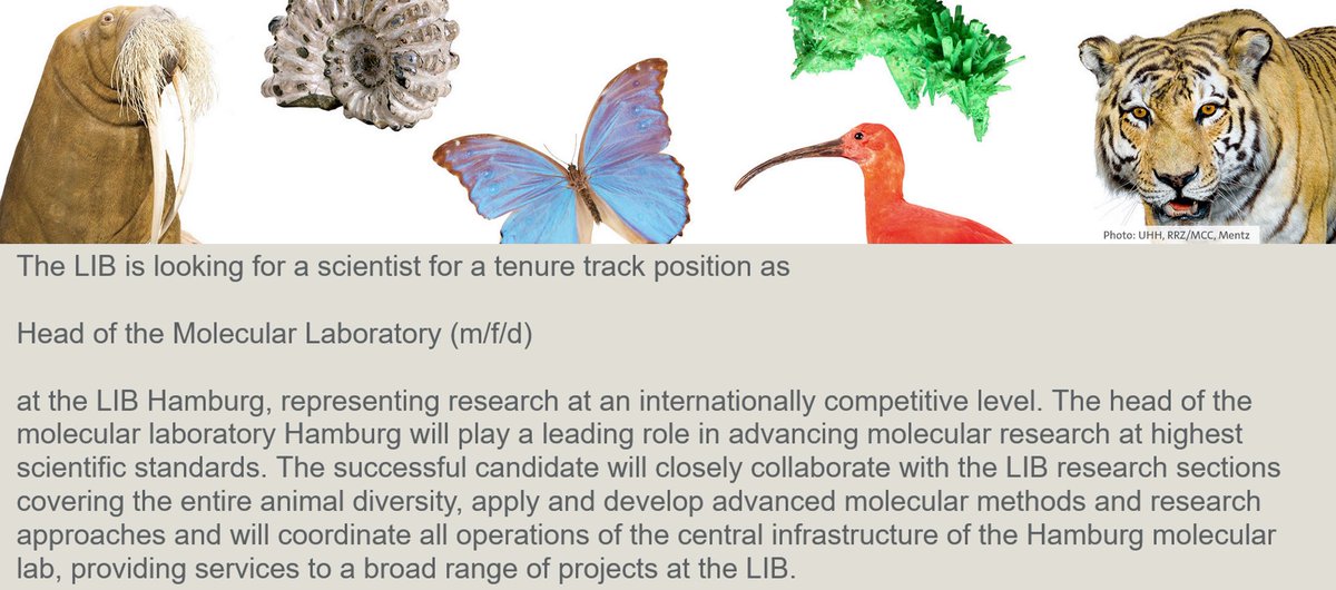 Please RT: Come join us on a tenure-track PI position <a href="/Leibniz_LIB/">LIB</a> in vibrant Hamburg!

We are looking for a Head of the Molecular Laboratory to develop omics methods &amp; conduct own + collaborative biodiversity research.

Application deadline is July 23. leibniz-lib.de/en/karriere/