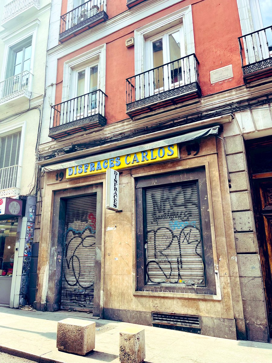 Sofia 📚 tweet media