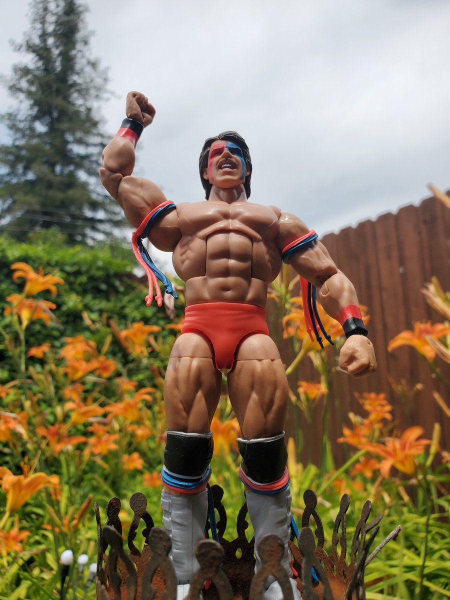 80s Wrestling Fan on Twitter "The Dingo Warrior made his WWF debut