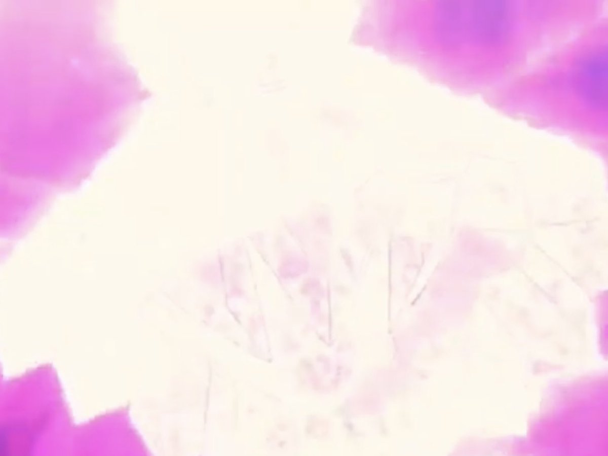 flub 💫 on Twitter "CRYSTALIS MOTUS TALIYAH CINEMATIC LEAKS"