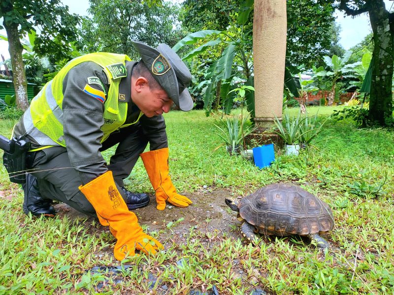 ProteccionPonal's tweet photo. 📍#Villavicencio| El hombre puede medir el valor de su propia alma en la mirada agradecida✨que le dirija un animal al cual ha socorrido📷 - Platón. https://t.co/POQS8j7OHb