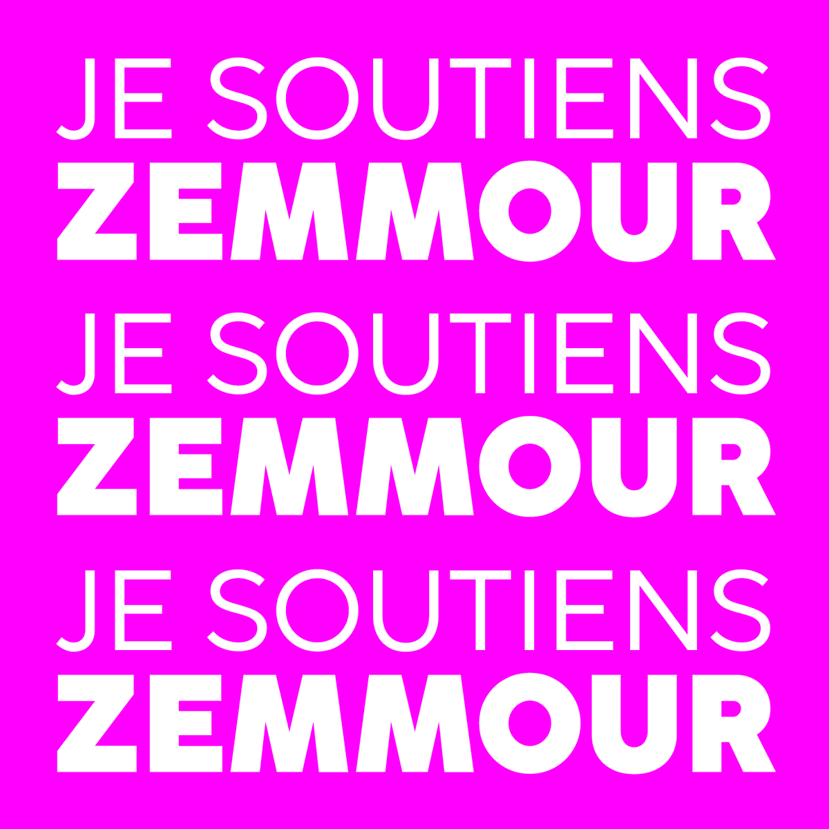 EleonoreLP's tweet photo. @ZemmourEric #Zemmour #Brest https://t.co/oqjBj1E6Lf
