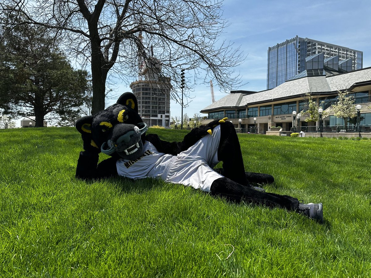 PouncePanther's tweet photo. Having a chill day on #NationalMascotDay 🤙 It ain’t easy being me 😎 https://t.co/wvwWW1C0Xa
