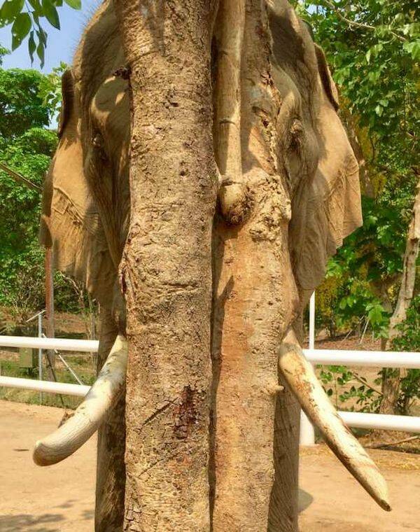 Doumig83's tweet image. Ayééé j&apos;suis caché !! 😄 #CacheCache