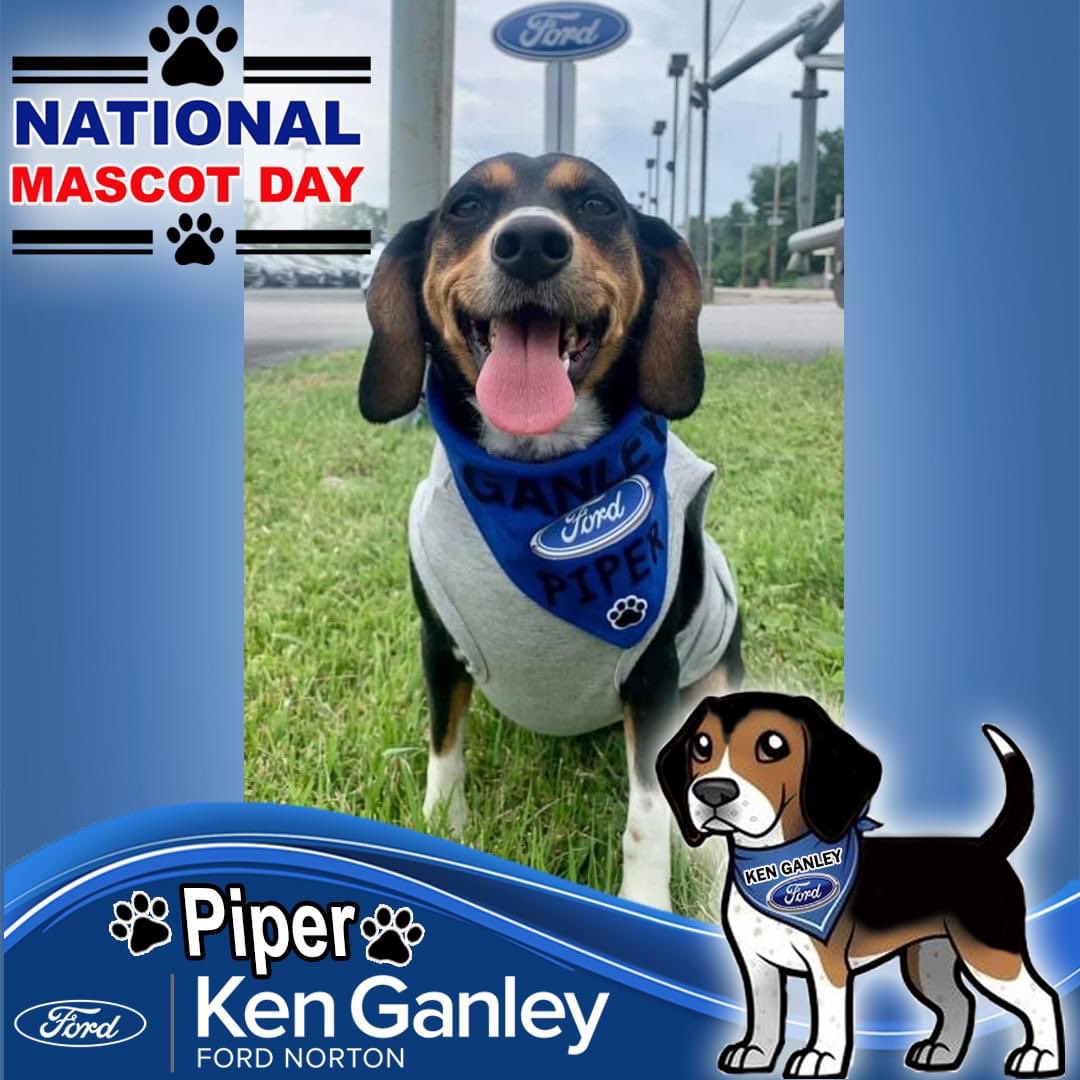 𝐈𝐭'𝐬 #𝐍𝐚𝐭𝐢𝐨𝐧𝐚𝐥𝐌𝐚𝐬𝐜𝐨𝐭𝐃𝐚𝐲 𝐬𝐨 𝐨𝐮𝐫 𝐊𝐞𝐧 𝐆𝐚𝐧𝐥𝐞𝐲 𝐅𝐨𝐫𝐝 𝐌𝐚𝐬𝐜𝐨𝐭 𝑷𝒊𝒑𝒆𝒓 𝐢𝐬 𝐜𝐞𝐥𝐞𝐛𝐫𝐚𝐭𝐢𝐧𝐠 𝐭𝐨𝐝𝐚𝐲! 
🐶🚘🐾 #KenGanleyFordNorton #NationalMascotDay #Piper #PipersPals #DogDaysOfSummerSavings