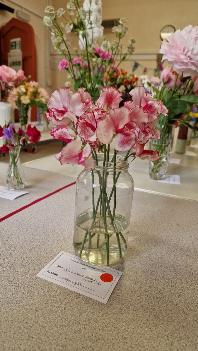 ChrisDay365's tweet photo. It is so lovely to be asked to judge the  Stowe Nine Churches Gardeners' Club Flower Show today. This show has been going since 1901, and today, there was a good turnout across 17 classes. The poster is from 1960! Well done to all who took part 👍 #GardenersWorld https://t.co/rOs2nBILXw