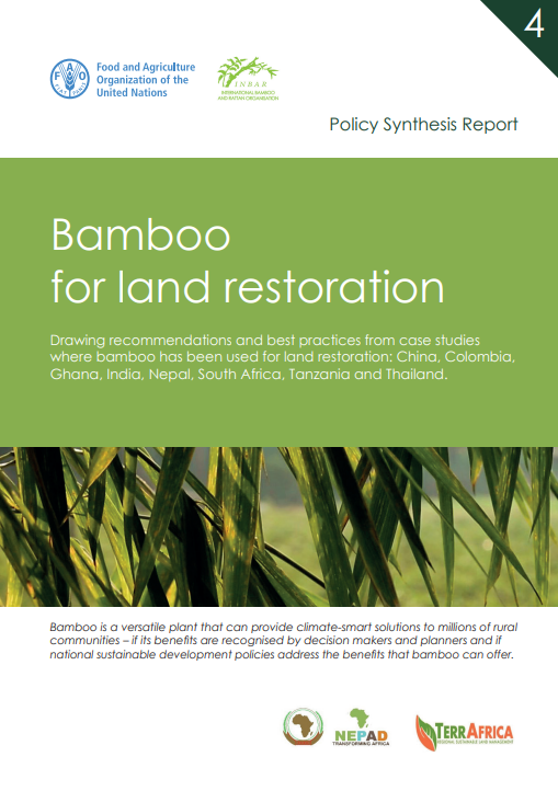 Learn about #bamboo for land restoration 🎋👇

inbar.int/resources/inba…

#United4Land #DesertificationandDroughtDay  #thinkbamboo