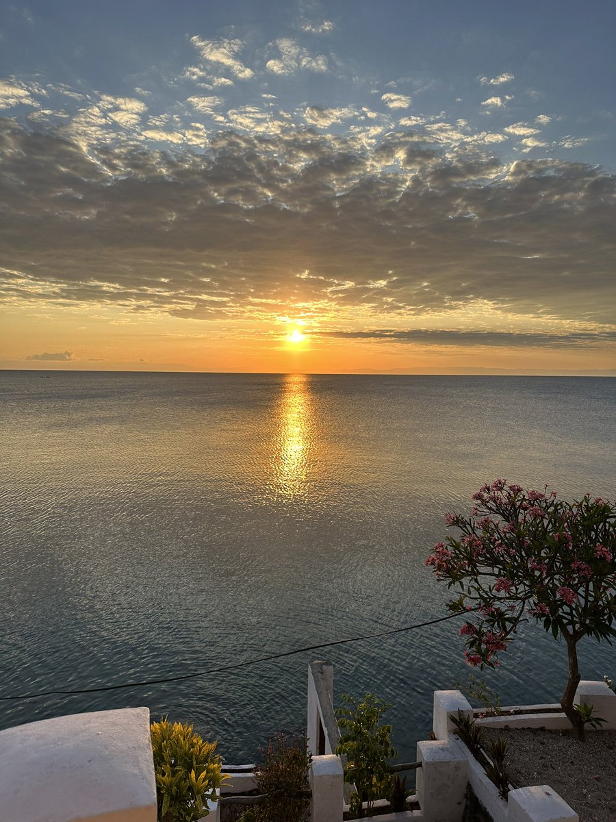 Miss Laird tweet media