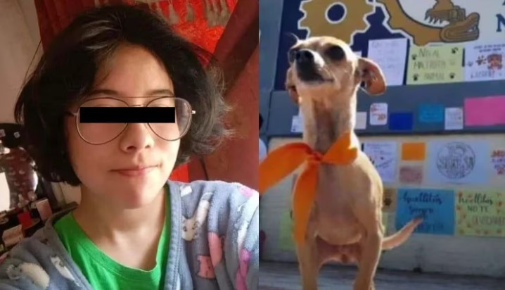 soyluisgabriel1's tweet photo. 🚩🚩 Exigen detención de adolescente que asesinó a un perrito en #Puebla.

🌐: https://t.co/WZJ4Wvdn84 https://t.co/2EyWmIQNr5