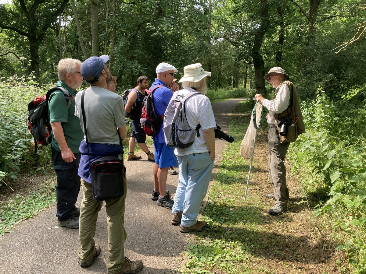 RForestVision's tweet photo. Great day of wildlife recording and guided walks in Corby today  @_Northants_BRC @wildlifebcn https://t.co/jMRj4zBe5W