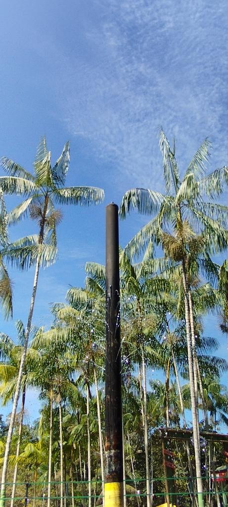 ErickAcre's tweet photo. Meu Acre é lindo. 
#acre
#natureza
#vida https://t.co/lmhyennlHP