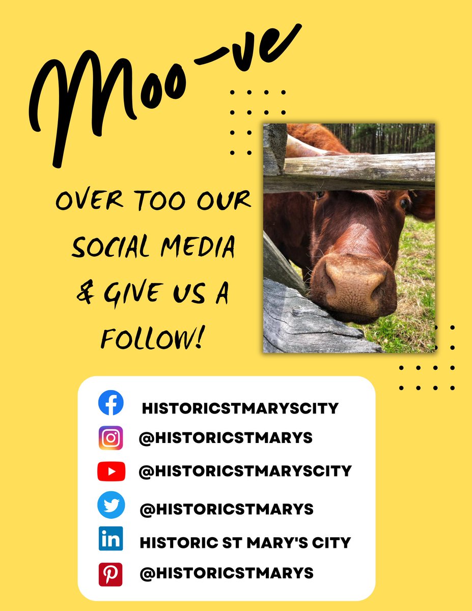 Make sure to follow us on Social Media for exclusive behind the scenes documentation of the 2023 MD Dove Bay Tour! ⚓️#marylanddove #baytour #baltimore #fellspoint #broadwaypier #havredegrace #cambridge #annapolis #solomons