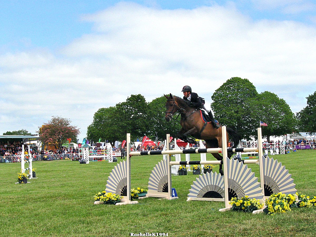 Suffolk Show [Day 2] (01/06/2023) 11

#photography #photographer #creativephotographer #photographyisart #animalphotography #eventphotography #showjumping #robot #suffolkshow #suffolkshow2023 #trinitypark #ipswich #suffolk #eastanglia #eastofengland @SuffolkShow @TITANtheROBOT